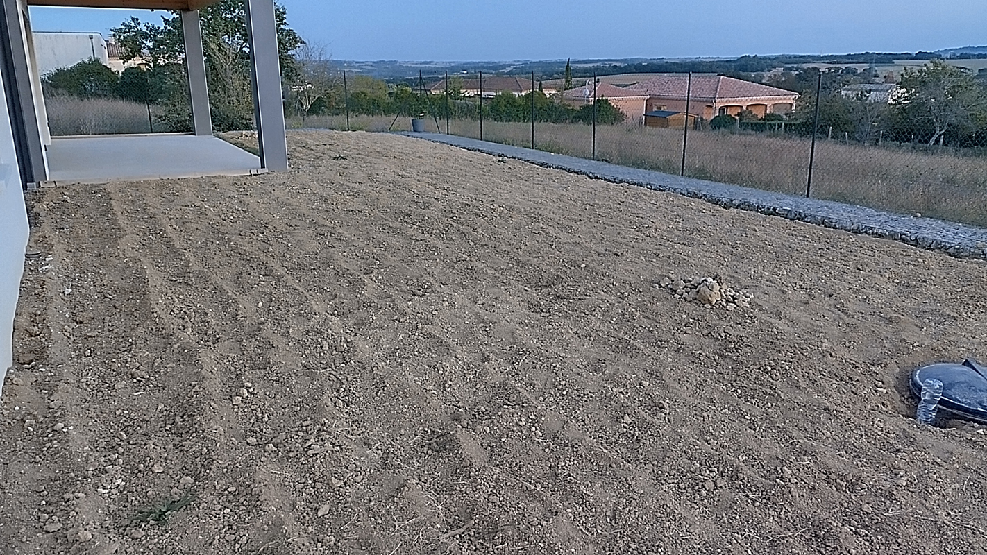 image (2)