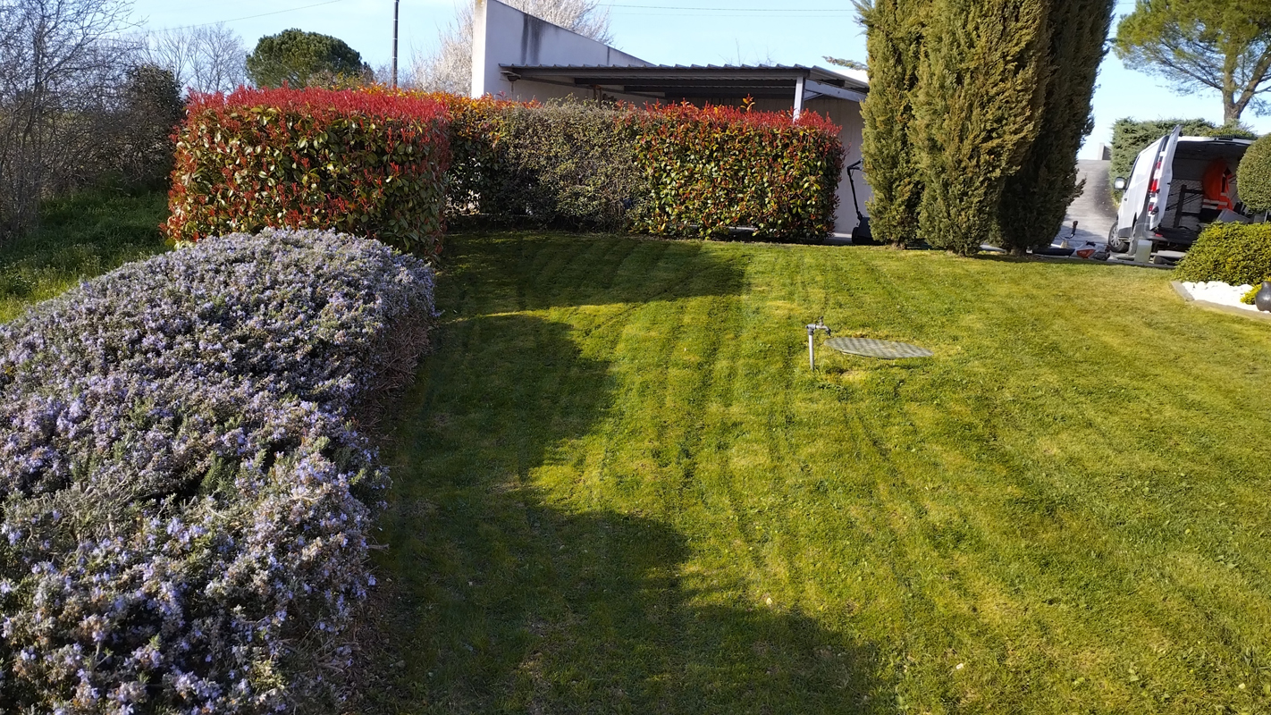 image (6)